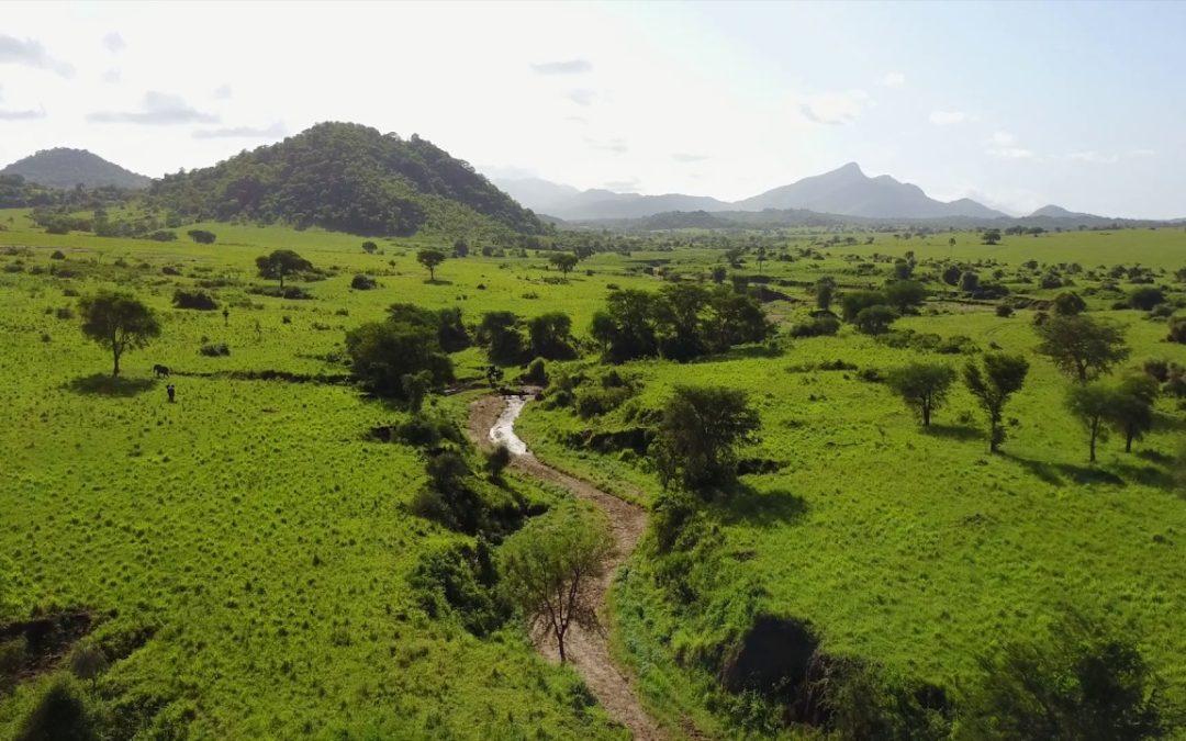 Kidepo Valley’s eye catching scenery
