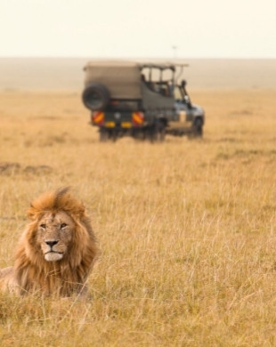 About Kiboko Kenya Safaris