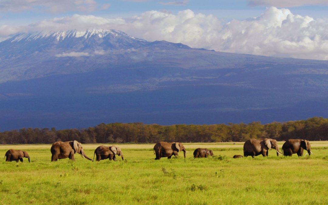 2 Days of Ngorongoro & Lake Manyara