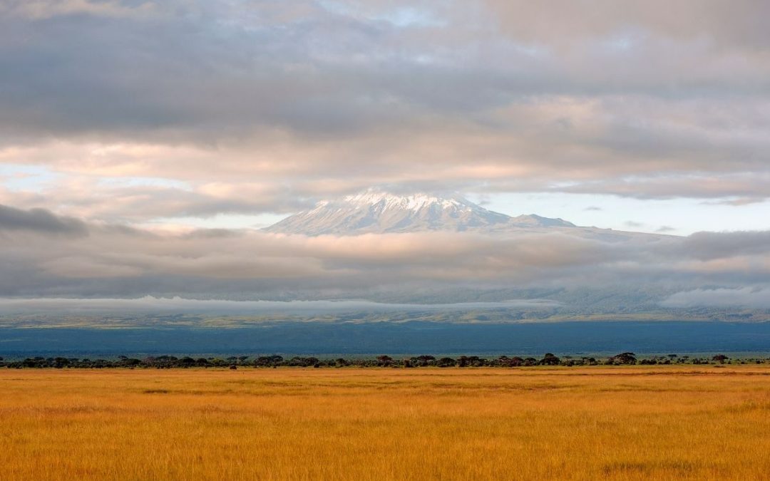 3 Days Amboseli Safari