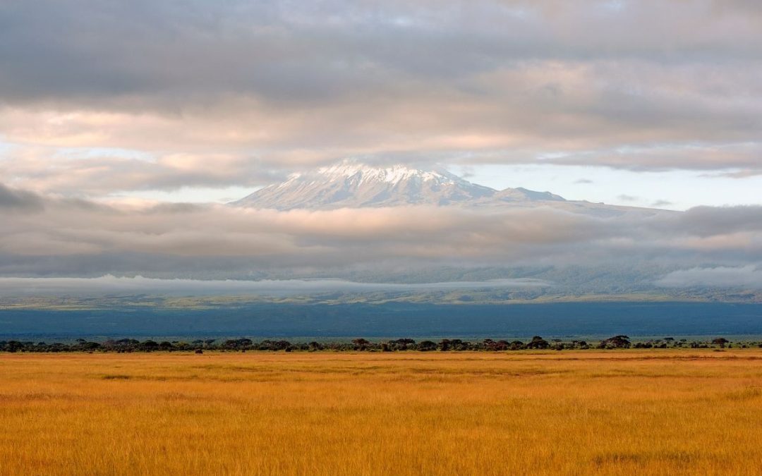 9 Days of Amboseli, Ol Pejeta & Maasai Mara fly-in safari