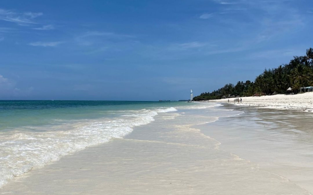 13 Days of Kenya Safari & Diani Beach