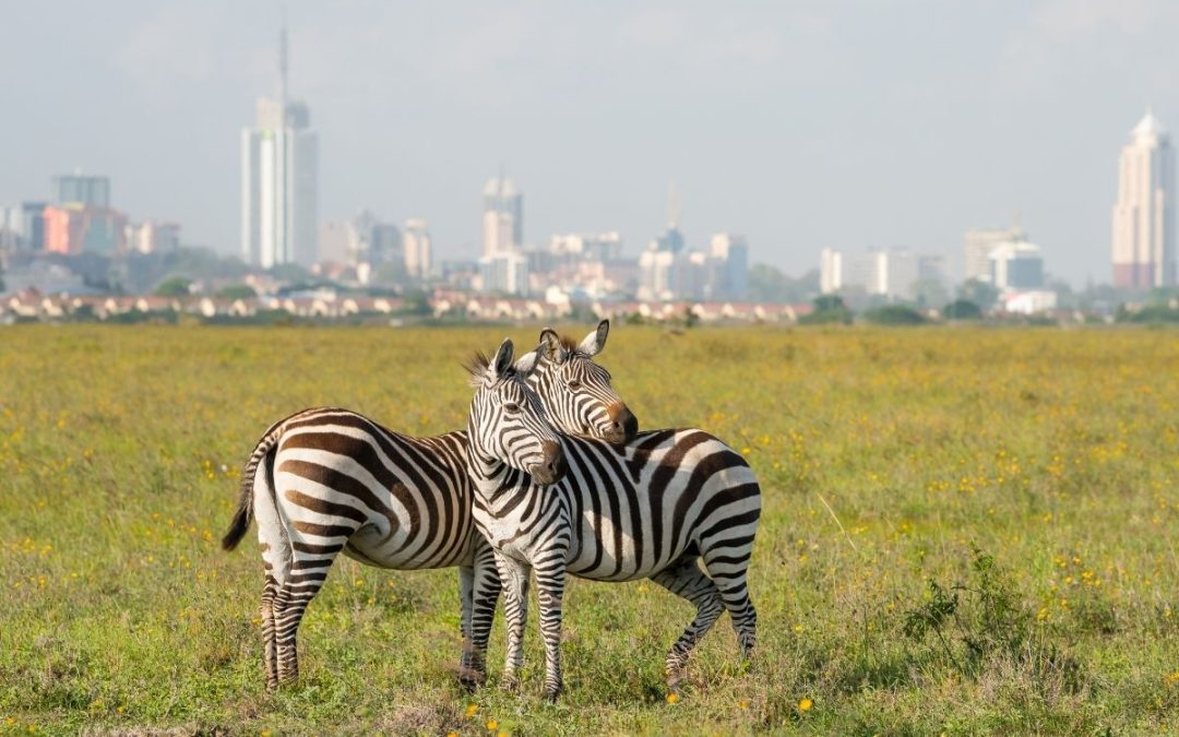 Nairobi City Tours