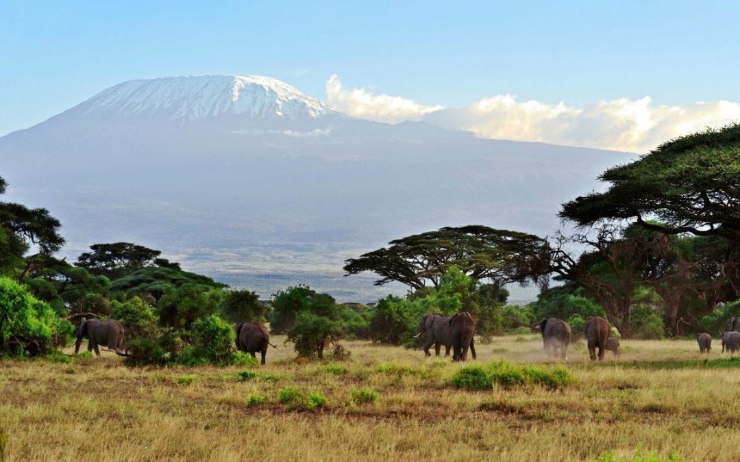 3 Days of Amboseli Safari from Mombasa by train