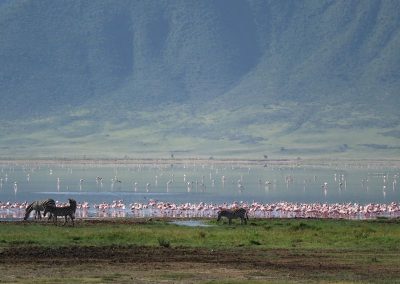 Ngorongoro Safaris Tanzania