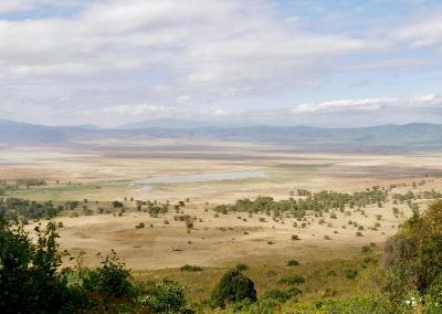 Ngorongoro Safaris Tanzania