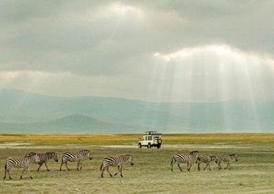 Ngorongoro Safaris Tanzania
