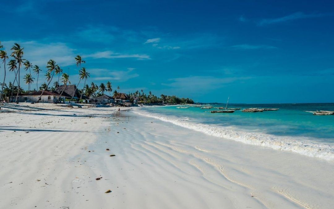 8 Days of Rwanda Gorilla Trek & Zanzibar Beach