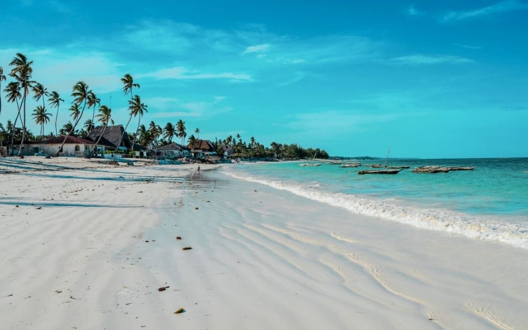 8 Days of Serengeti Fly-In Safari & Zanzibar Beach