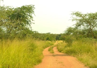 Akagera Safaris Rwanda