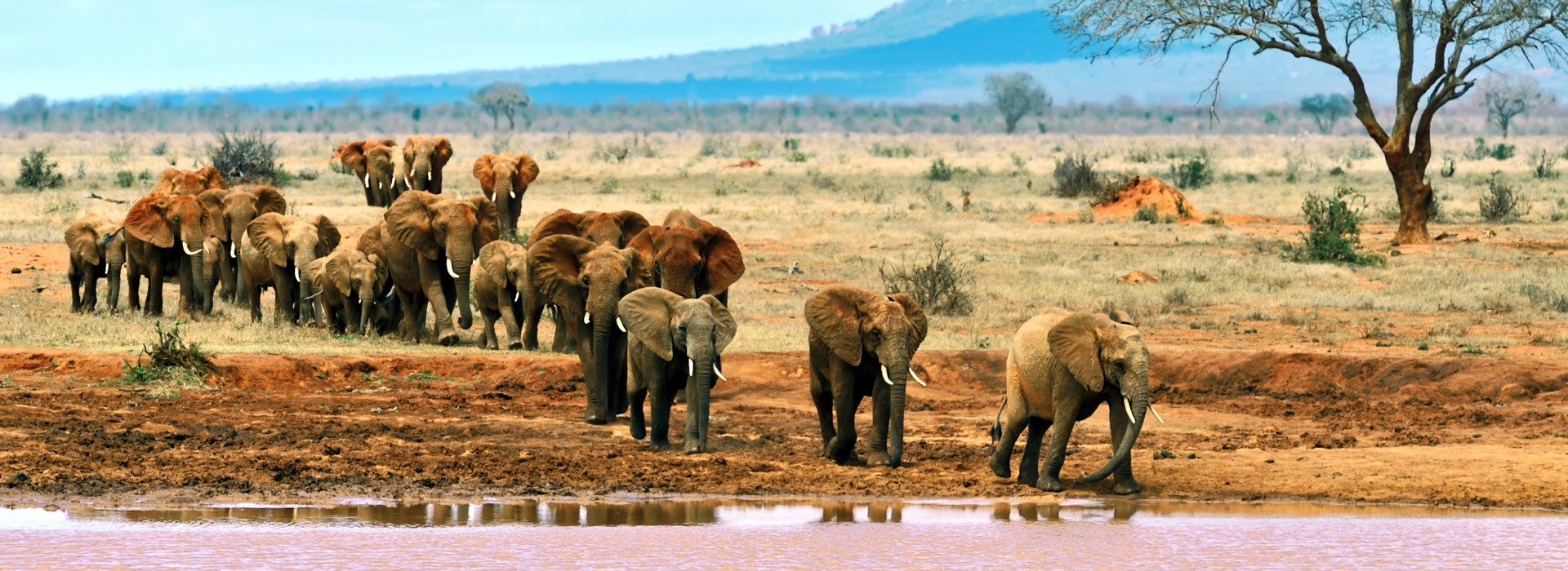Tsavo East National Park