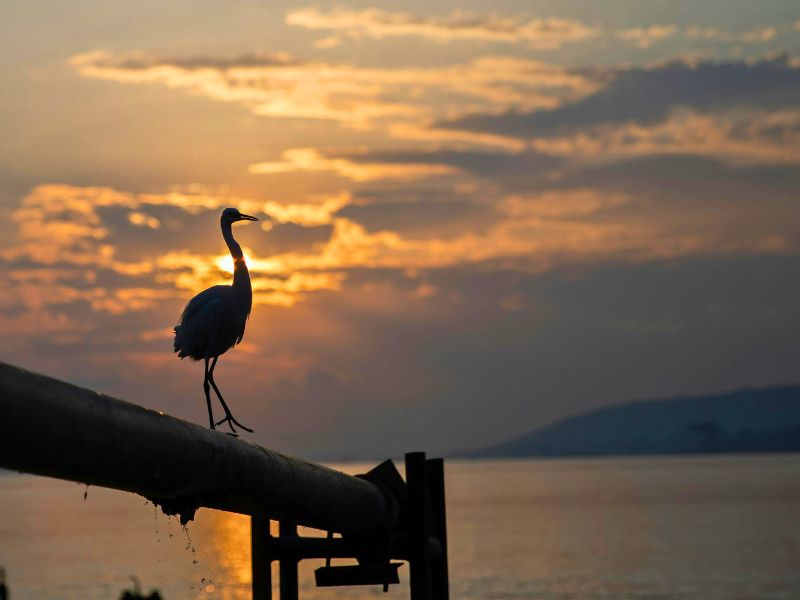 Jinja, Uganda