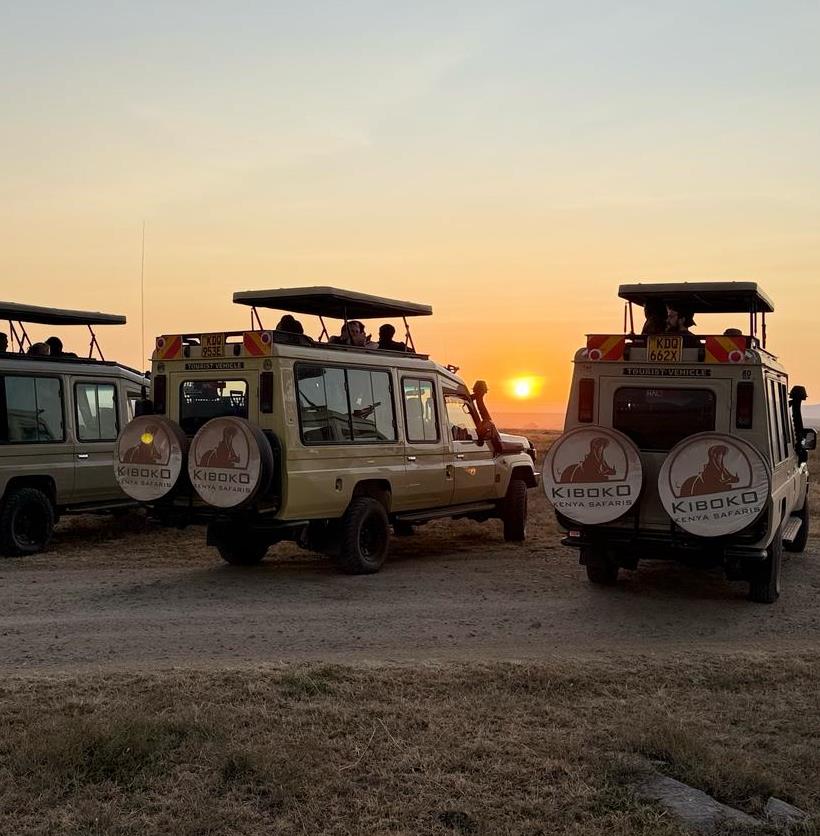 Kiboko Kenya Safaris